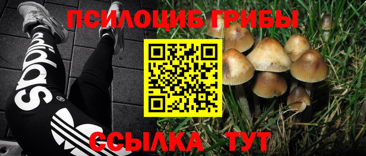 Псилоцибиновые грибы Cubensis Новодвинск